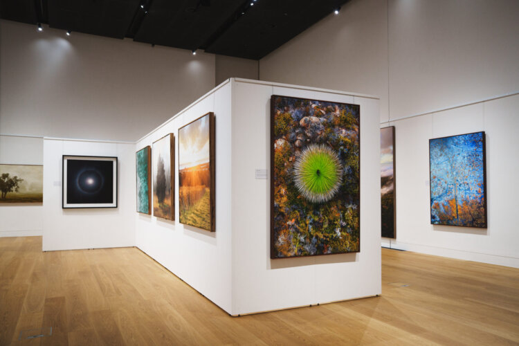 Landscape photography on display in an art gallery