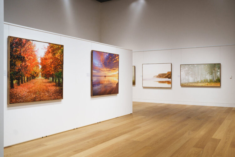Landscape photos on display in an art gallery
